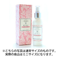 ���å��������ӡ�/�ե�����륹�ץ졼 �ե����륰�å� 30ml����